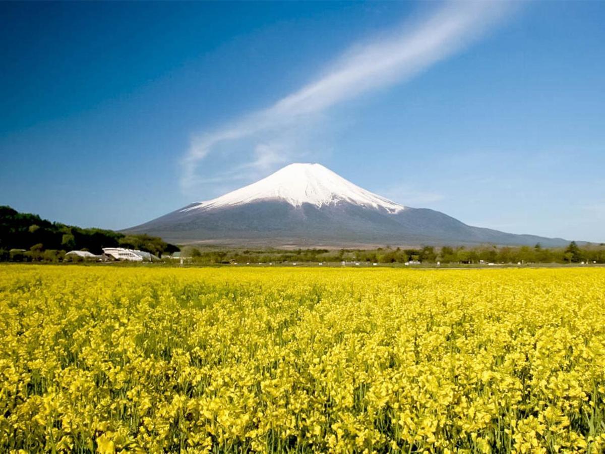 Yamanakako Pension Pause Экстерьер фото